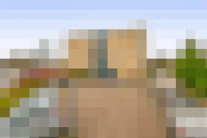 Tsjaikovskistraat 100 Capelle aan den IJssel thumbnail 39