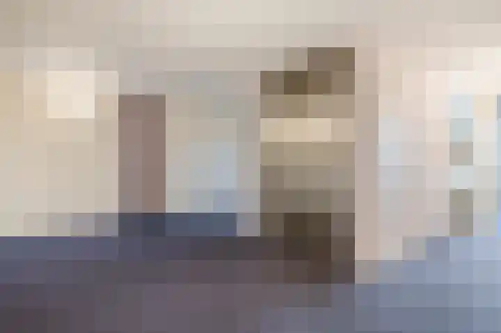 Tsjaikovskistraat 100 Capelle aan den IJssel thumbnail 8