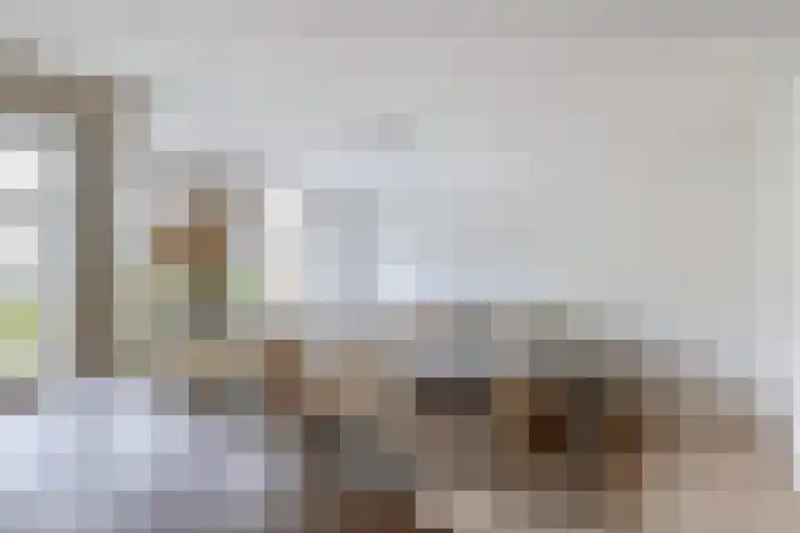 Tsjaikovskistraat 14 Capelle aan den IJssel thumbnail 10