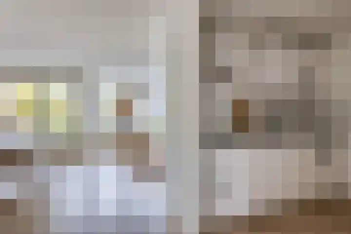 Tsjaikovskistraat 14 Capelle aan den IJssel thumbnail 11