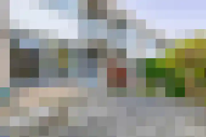 Tsjaikovskistraat 14 Capelle aan den IJssel thumbnail 13