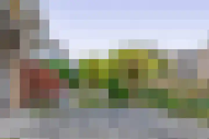 Tsjaikovskistraat 14 Capelle aan den IJssel thumbnail 14