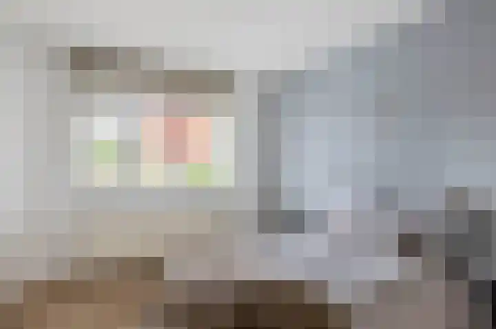 Tsjaikovskistraat 14 Capelle aan den IJssel thumbnail 17