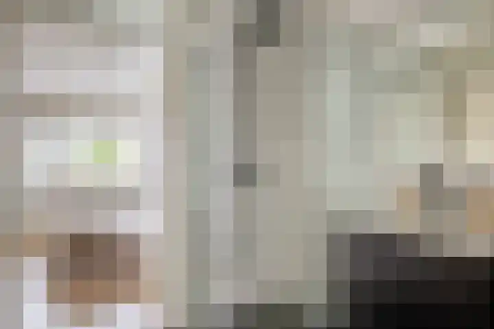 Tsjaikovskistraat 14 Capelle aan den IJssel thumbnail 20