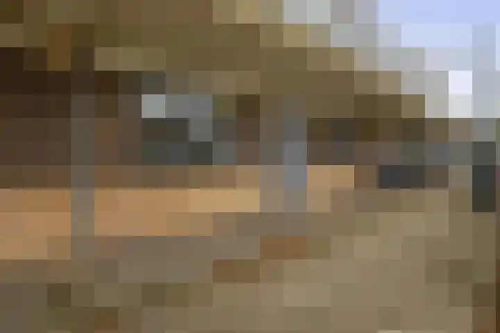 Tsjaikovskistraat 14 Capelle aan den IJssel thumbnail 30