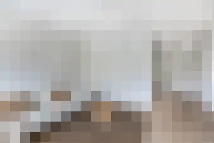 Tsjaikovskistraat 14 Capelle aan den IJssel thumbnail 5