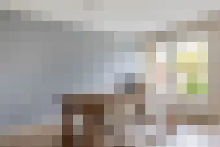 Tsjaikovskistraat 14 Capelle aan den IJssel thumbnail 7