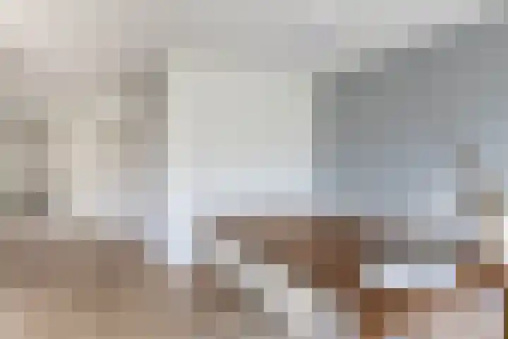 Tsjaikovskistraat 14 Capelle aan den IJssel thumbnail 9