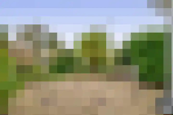 Tsjaikovskistraat 18 Capelle aan den IJssel thumbnail 13