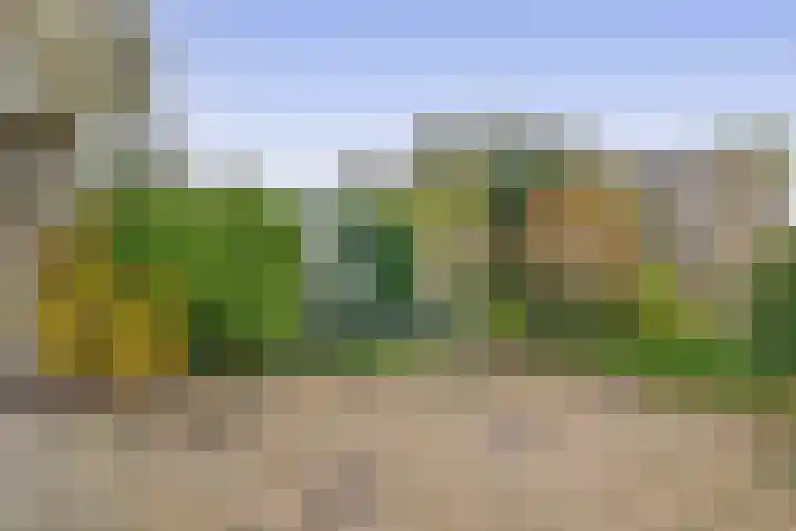 Tsjaikovskistraat 18 Capelle aan den IJssel thumbnail 14