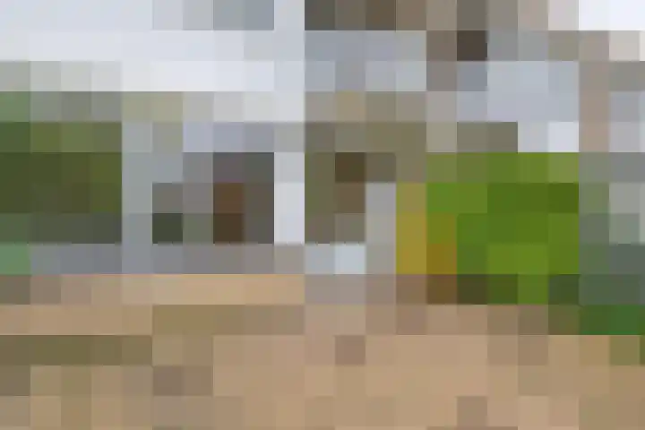 Tsjaikovskistraat 18 Capelle aan den IJssel thumbnail 15