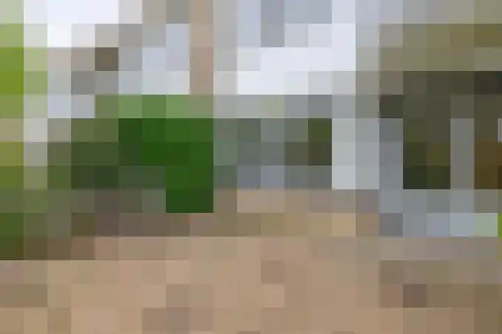 Tsjaikovskistraat 18 Capelle aan den IJssel thumbnail 16