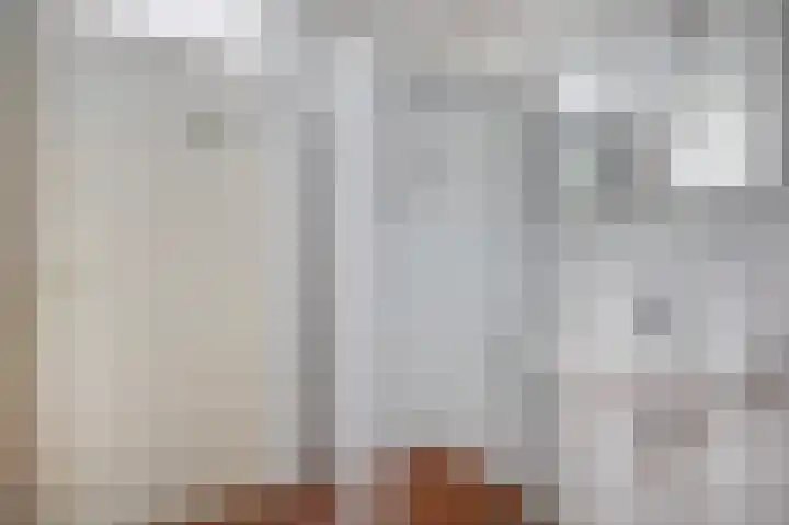 Tsjaikovskistraat 18 Capelle aan den IJssel thumbnail 4
