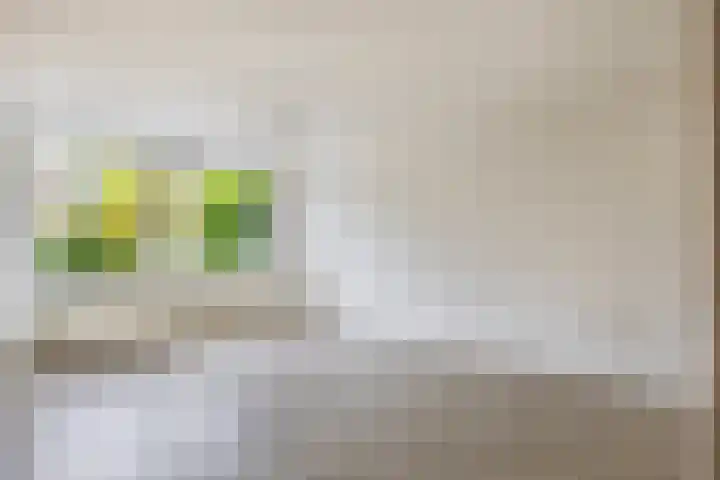 Tsjaikovskistraat 18 Capelle aan den IJssel thumbnail 6