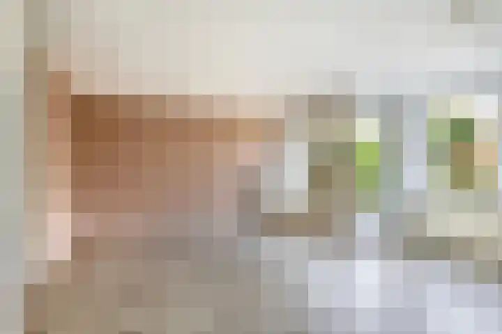 Tsjaikovskistraat 18 Capelle aan den IJssel thumbnail 7