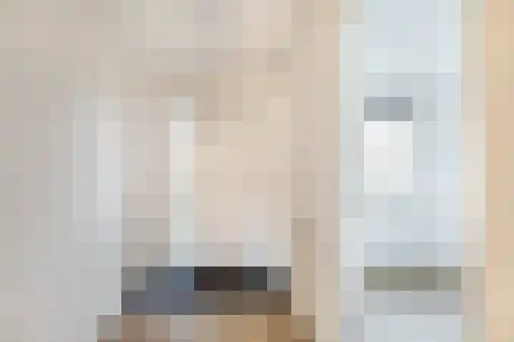 Tsjaikovskistraat 32 Capelle aan den IJssel thumbnail 5