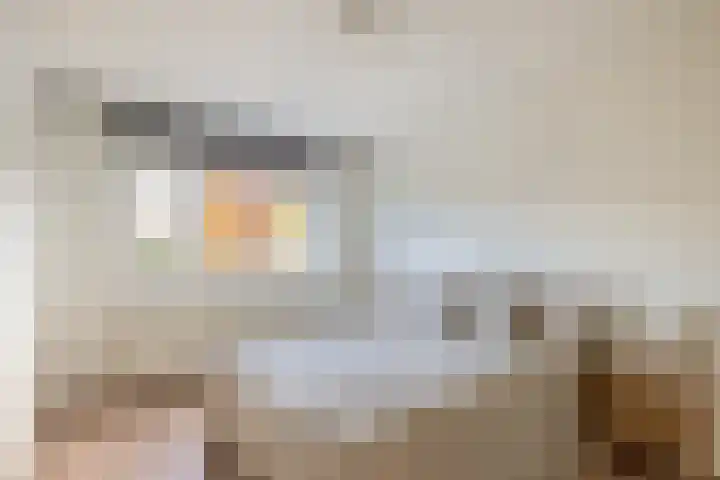 Tsjaikovskistraat 42 Capelle aan den IJssel thumbnail 16