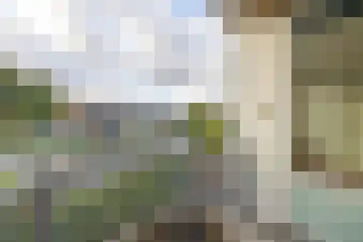Tsjaikovskistraat 42 Capelle aan den IJssel thumbnail 24