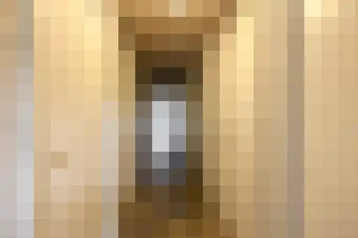 Tsjaikovskistraat 42 Capelle aan den IJssel thumbnail 27