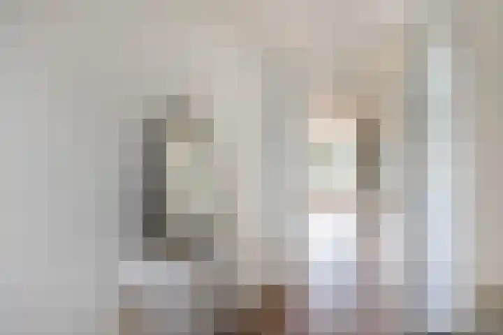 Tsjaikovskistraat 42 Capelle aan den IJssel thumbnail 6