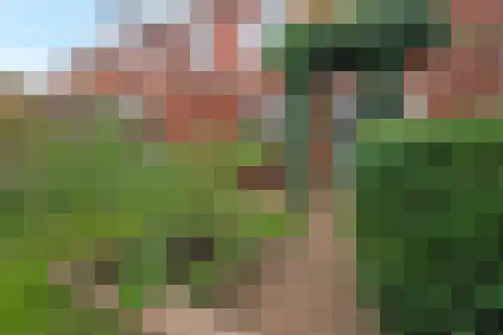 Tsjaikovskistraat 6 Amersfoort thumbnail 33