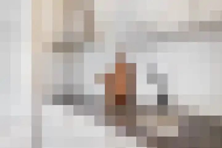 Tsjaikovskistraat 6 Capelle aan den IJssel thumbnail 13