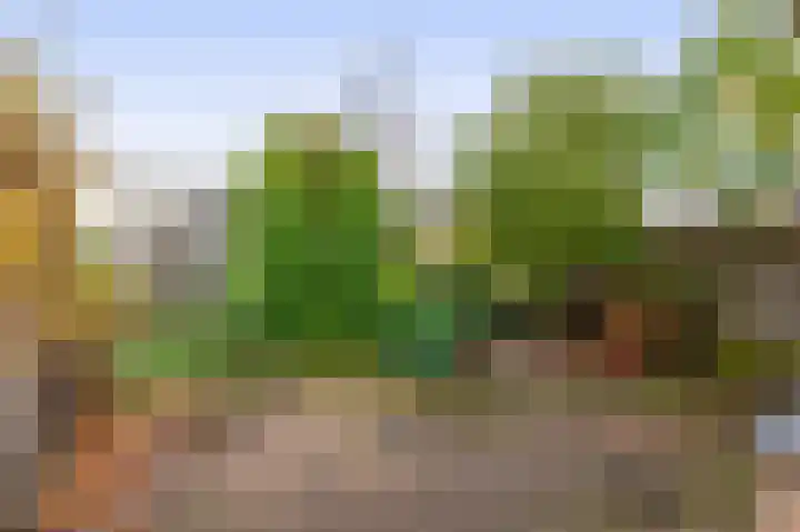 Tsjaikovskistraat 6 Capelle aan den IJssel thumbnail 15
