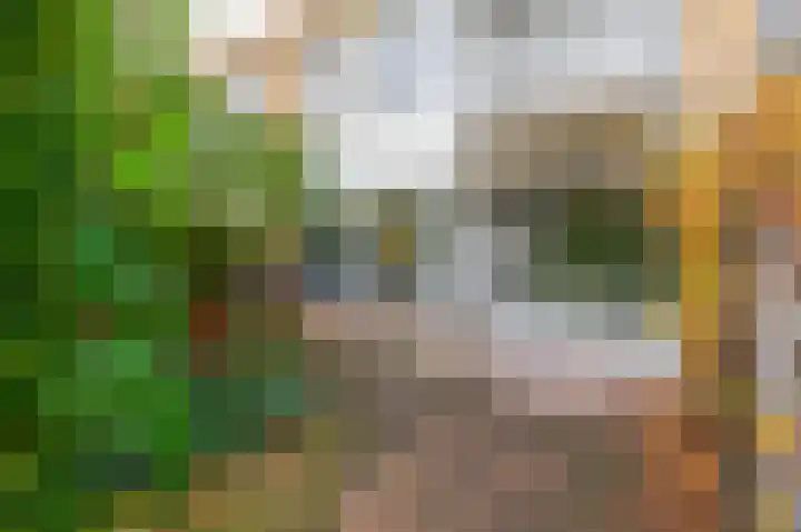 Tsjaikovskistraat 6 Capelle aan den IJssel thumbnail 16