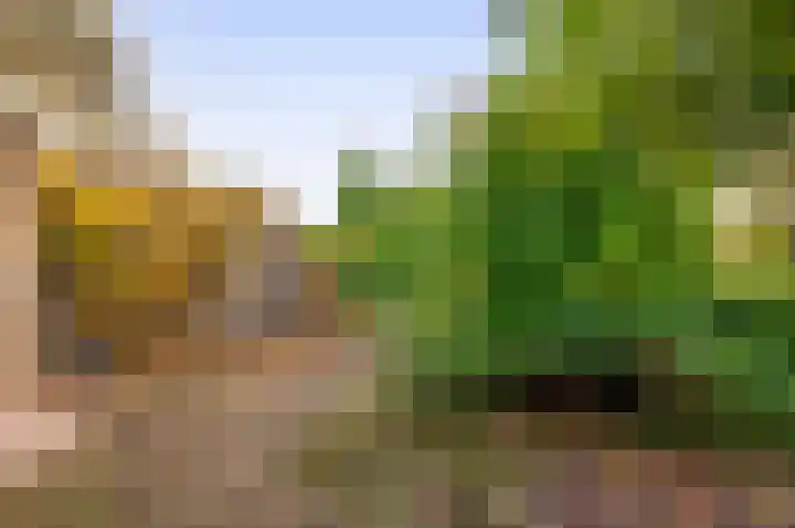 Tsjaikovskistraat 6 Capelle aan den IJssel thumbnail 17