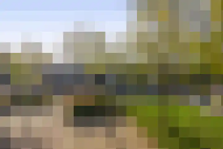 Tsjaikovskistraat 6 Capelle aan den IJssel thumbnail 25