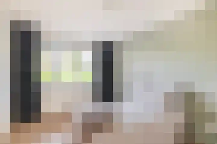 Tsjaikovskistraat 6 Capelle aan den IJssel thumbnail 4