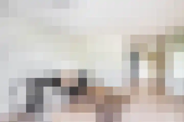 Tsjaikovskistraat 6 Capelle aan den IJssel thumbnail 8