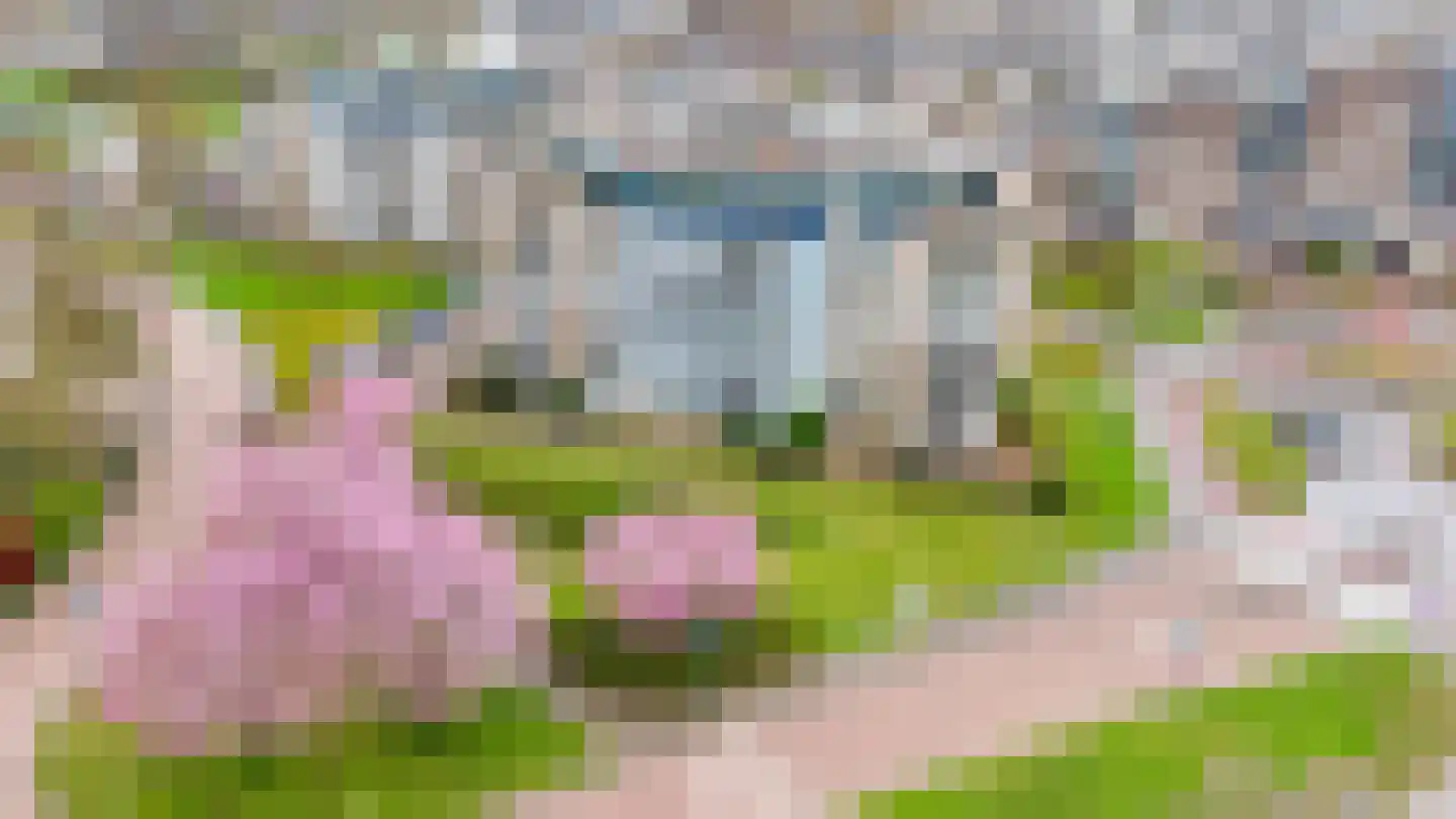 Tsjaikovskistraat 78 Capelle aan den IJssel thumbnail 34