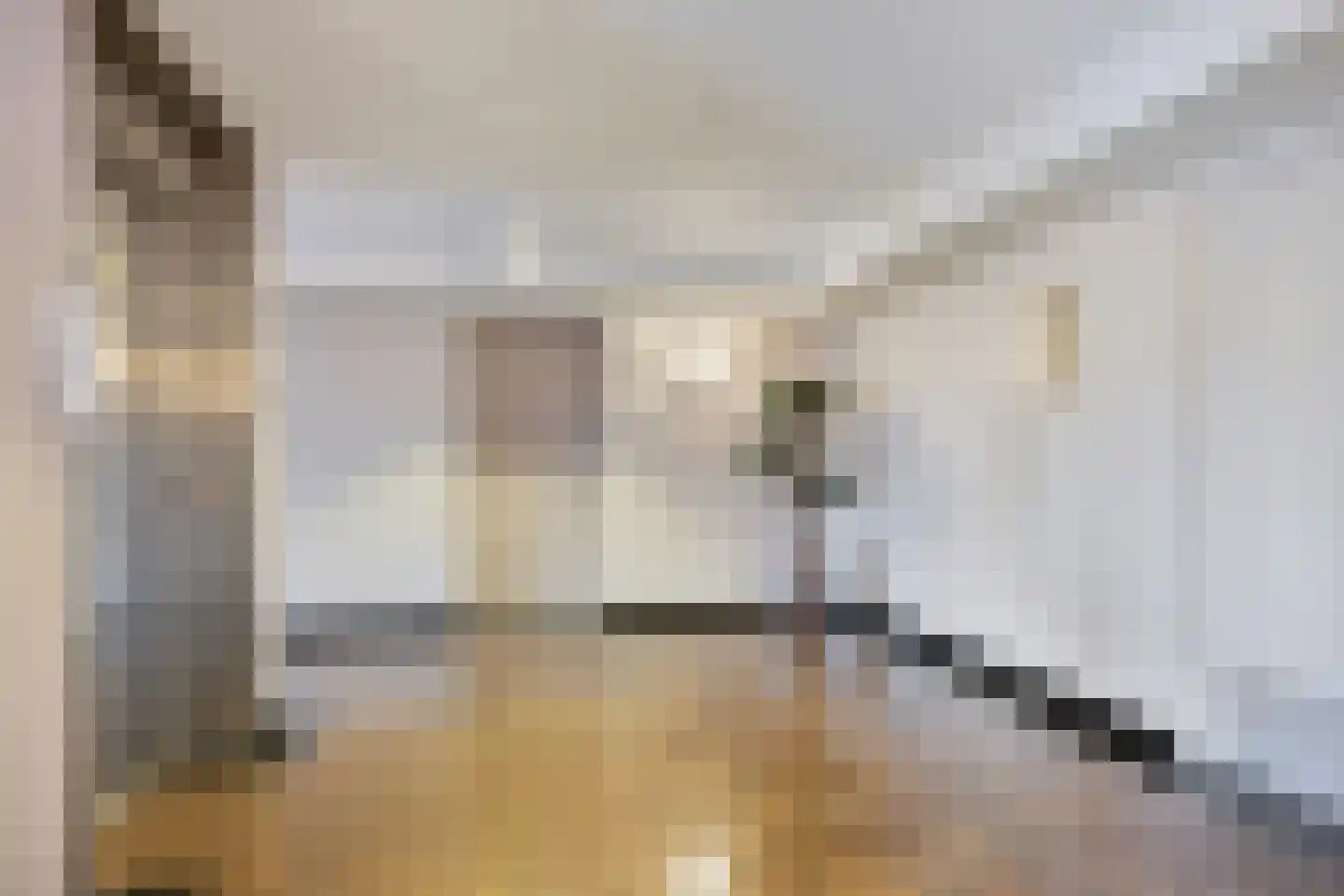 Tsjaikovskistraat 82 Capelle aan den IJssel thumbnail 31