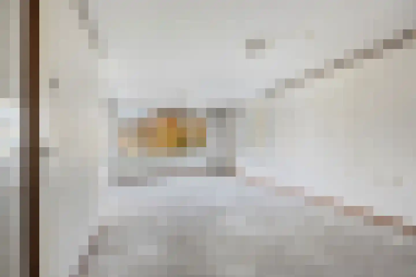 Tsjaikovskistraat 82 Capelle aan den IJssel thumbnail 5