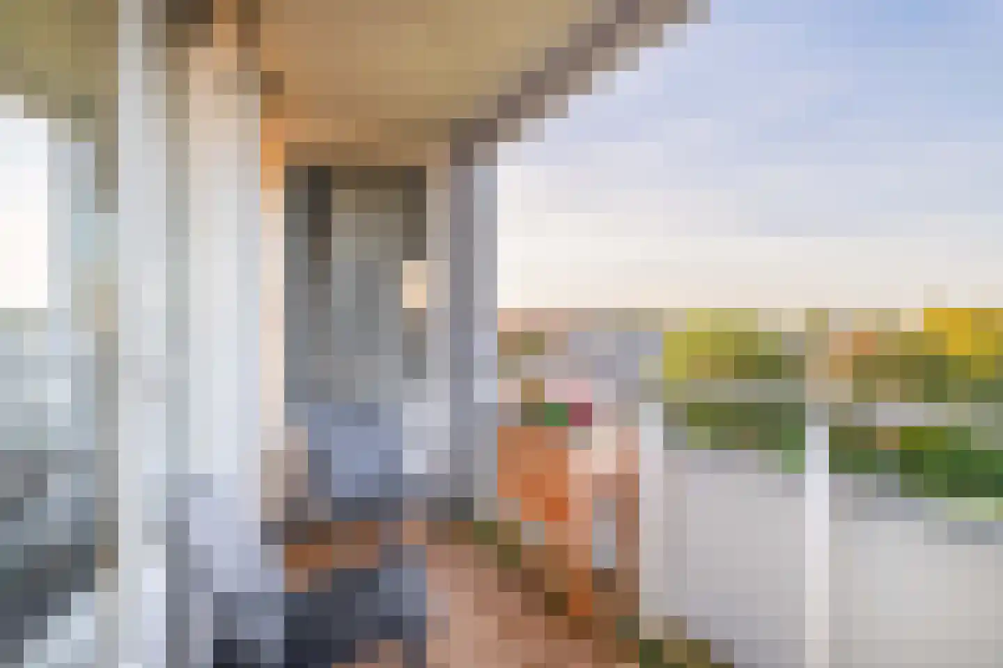 Tsjaikovskistraat 88 Capelle aan den IJssel thumbnail 27