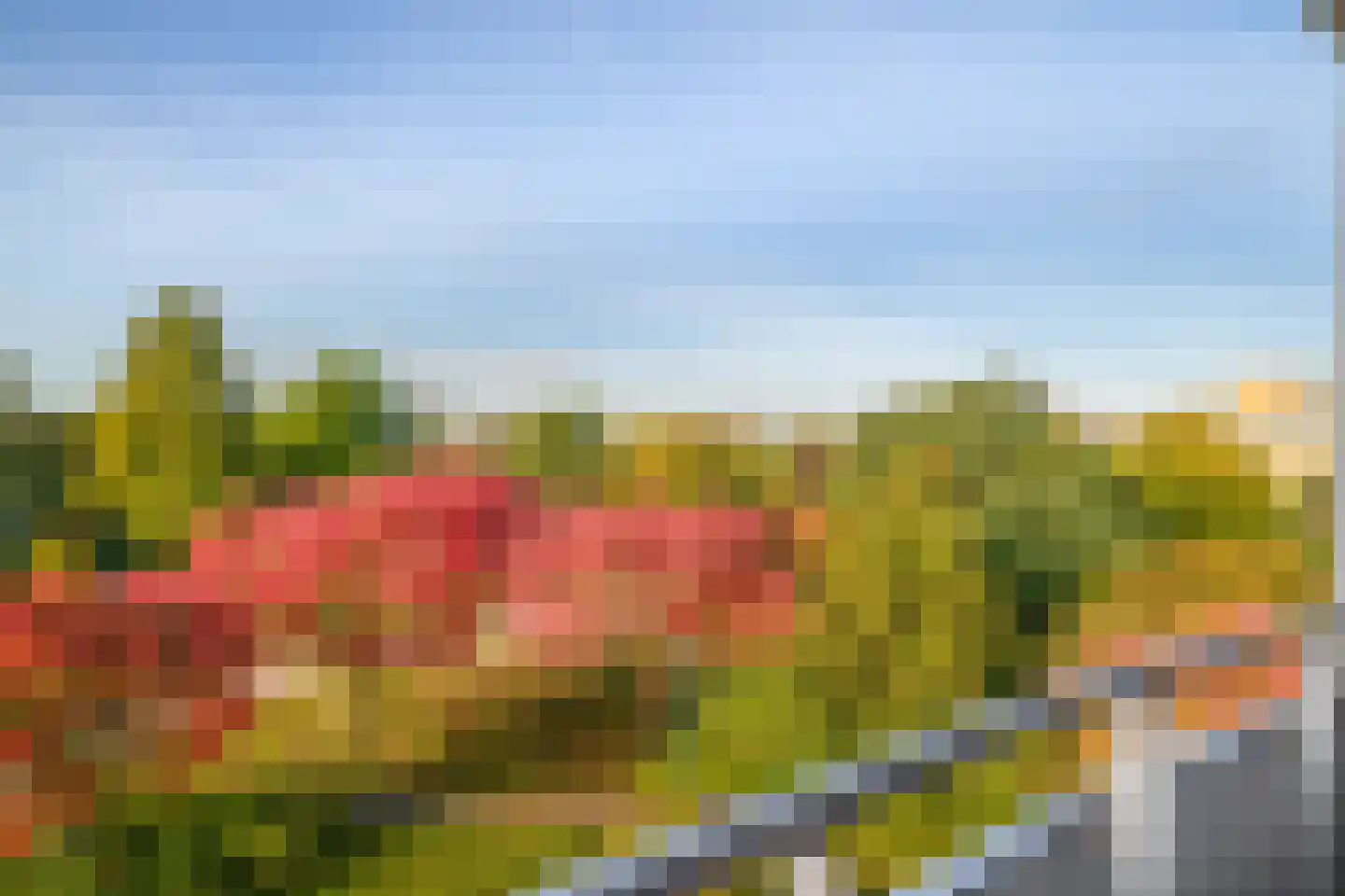 Tsjaikovskistraat 88 Capelle aan den IJssel thumbnail 29