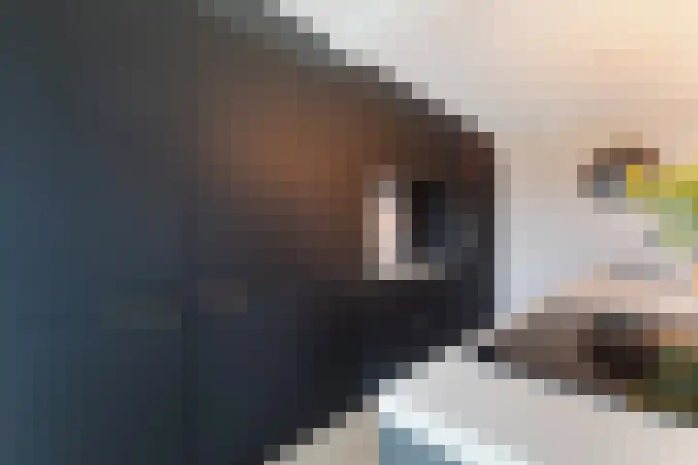 Tsjalk 15 Stiens thumbnail 11