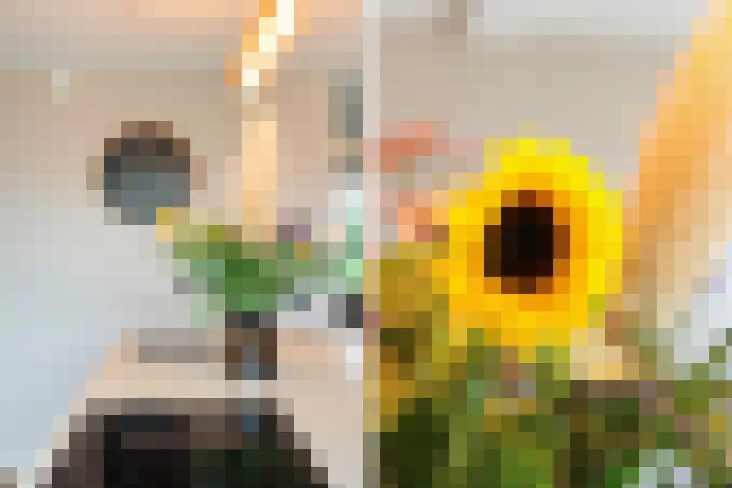 Tsjalk 15 Stiens thumbnail 12
