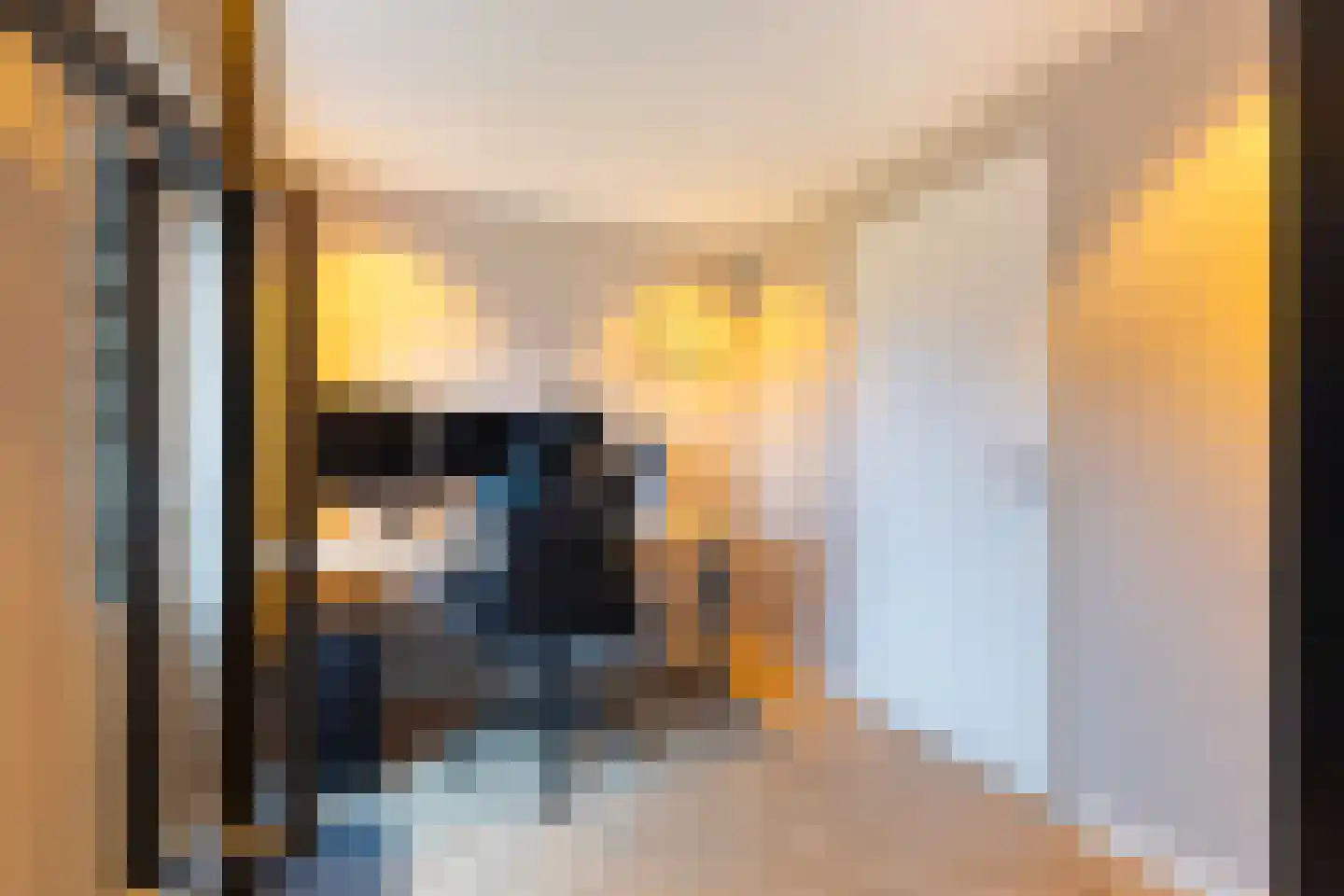 Tsjalk 15 Stiens thumbnail 17
