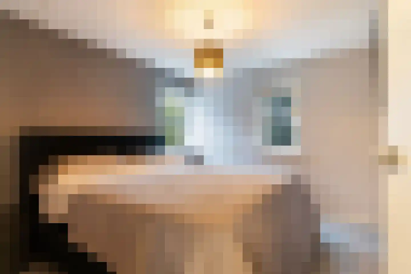 Tsjalk 15 Stiens thumbnail 20