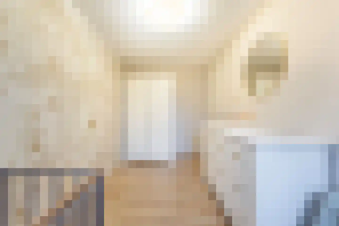 Tsjalk 15 Stiens thumbnail 24