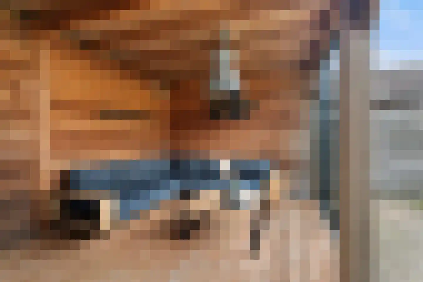 Tsjalk 15 Stiens thumbnail 39