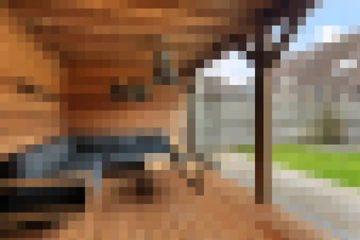 Tsjalk 15 Stiens thumbnail 40