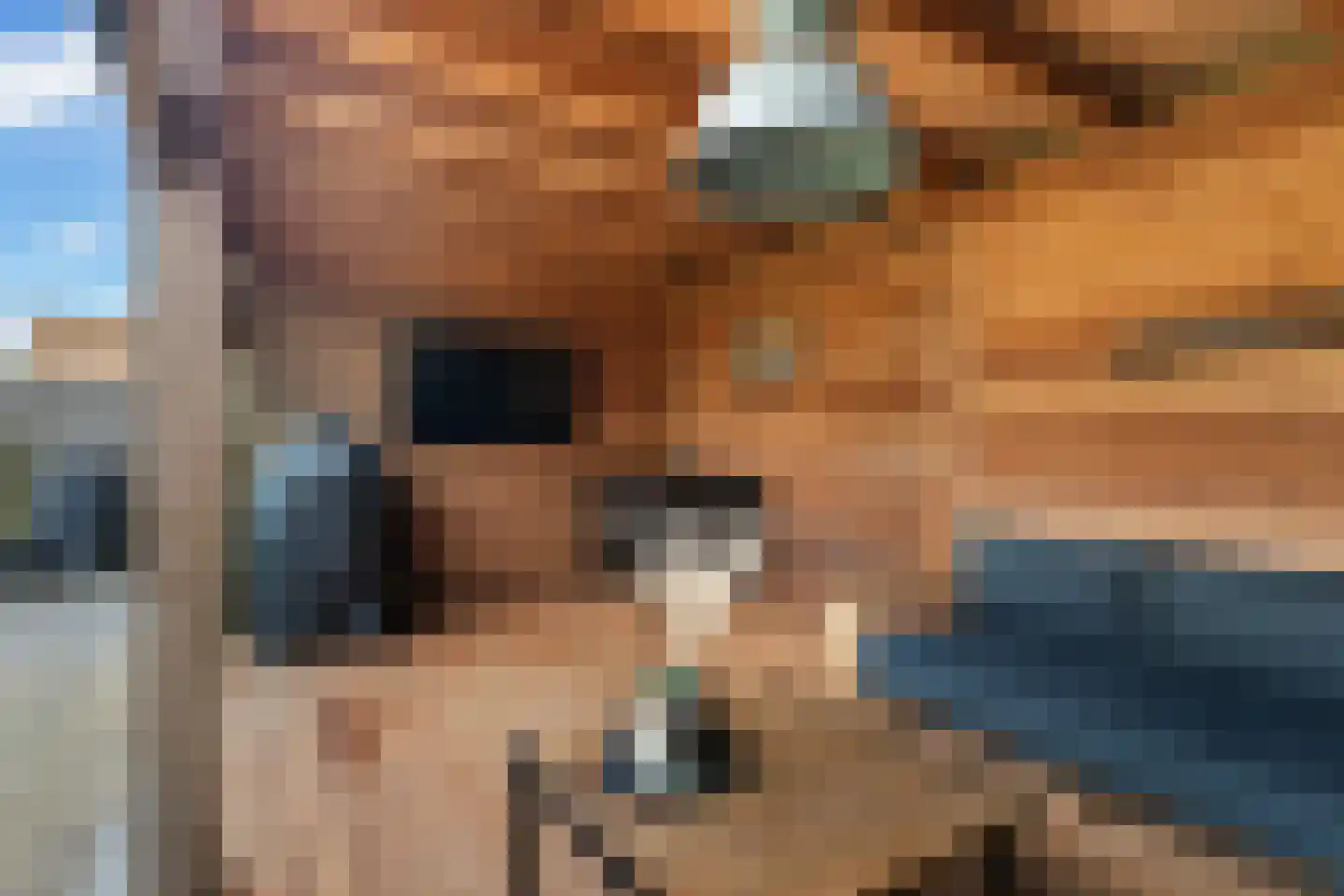 Tsjalk 15 Stiens thumbnail 41