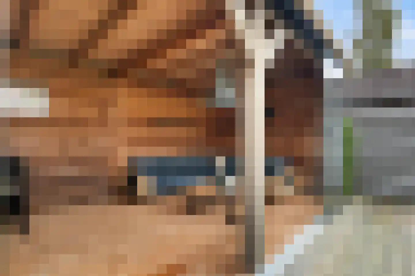 Tsjalk 15 Stiens thumbnail 42