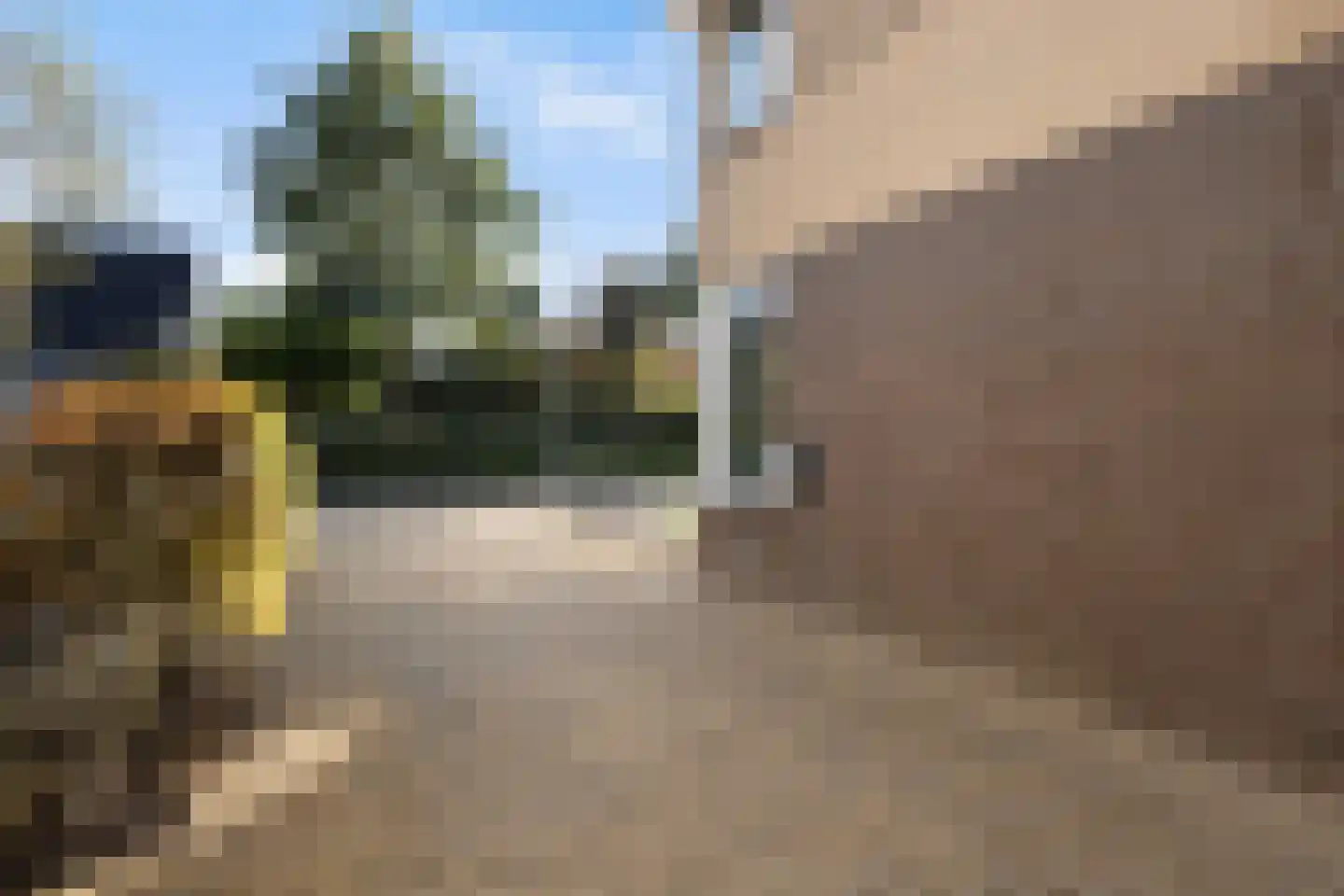 Tsjalk 15 Stiens thumbnail 43