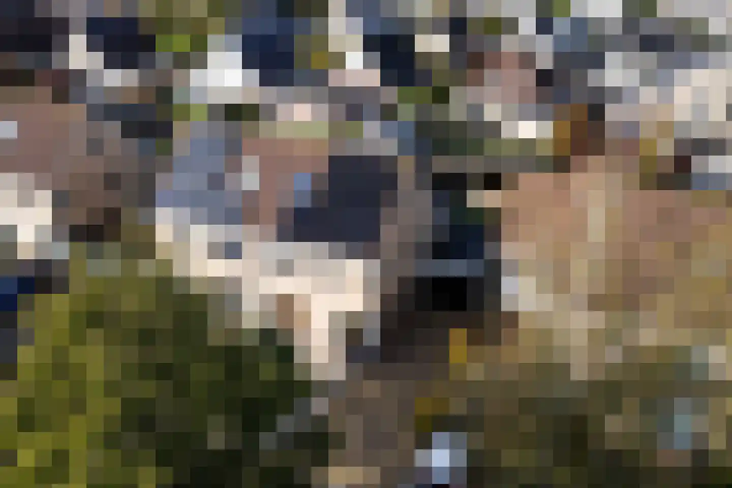 Tsjalk 15 Stiens thumbnail 49