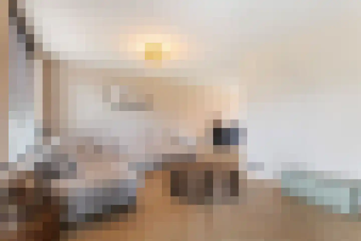 Tsjalk 15 Stiens thumbnail 5