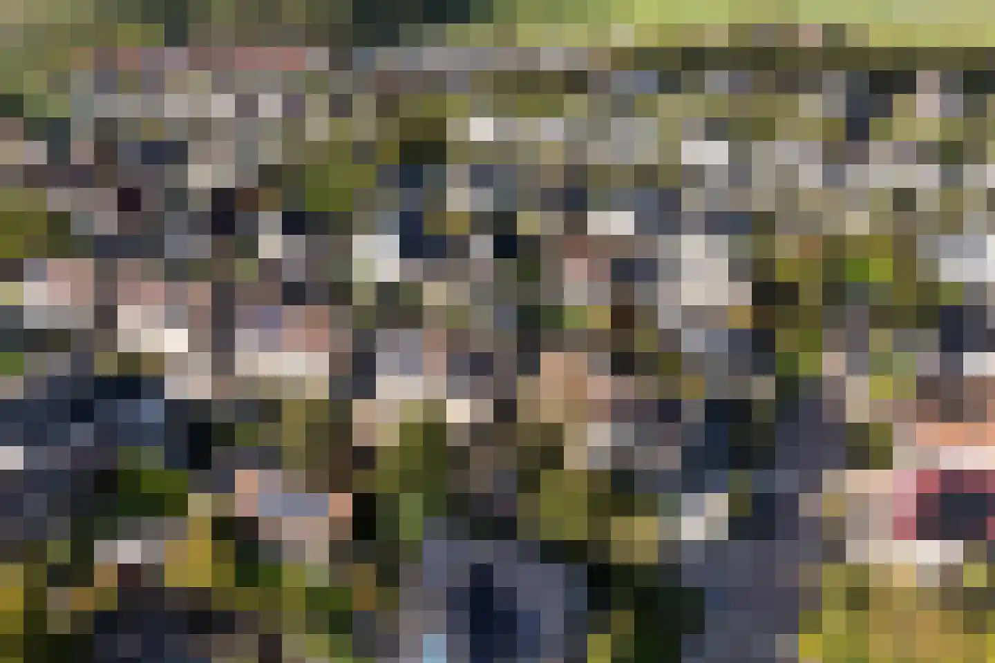 Tsjalk 15 Stiens thumbnail 50